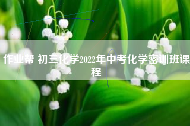 作业帮 初三化学2022年中考化学密训班课程