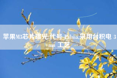 苹果M3芯片曝光:代号 Palma,采用台积电 3nm 工艺