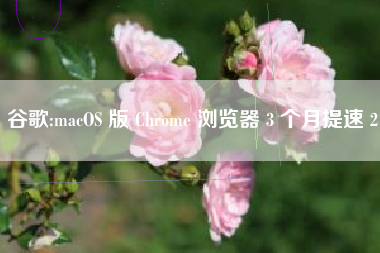 谷歌:macOS 版 Chrome 浏览器 3 个月提速 2