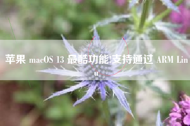 苹果 macOS 13 最酷功能!支持通过 ARM Linu