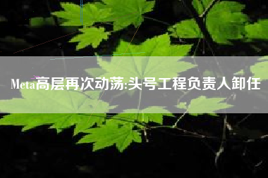 Meta高层再次动荡:头号工程负责人卸任