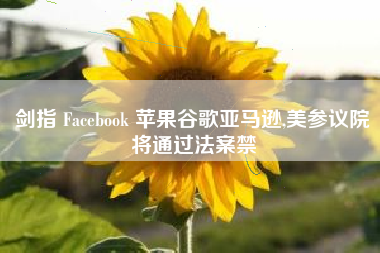 剑指 Facebook 苹果谷歌亚马逊,美参议院将通过法案禁