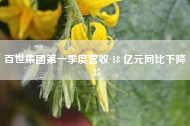 百世集团第一季度营收 18 亿元同比下降 35