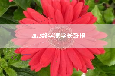 2022数学凉学长联报