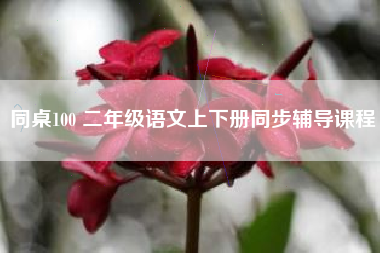 同桌100 二年级语文上下册同步辅导课程