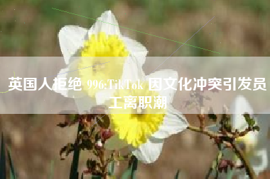 英国人拒绝 996:TikTok 因文化冲突引发员工离职潮