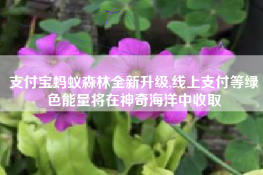 支付宝蚂蚁森林全新升级,线上支付等绿色能量将在神奇海洋中收取