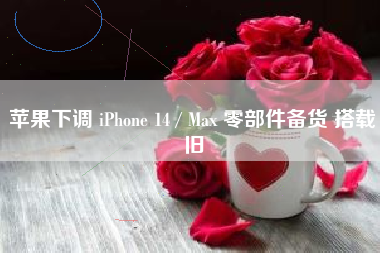 苹果下调 iPhone 14 / Max 零部件备货 搭载旧