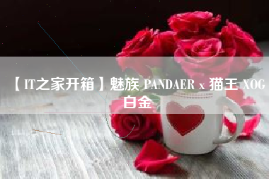 【IT之家开箱】魅族 PANDAER x 猫王 XOG 白金