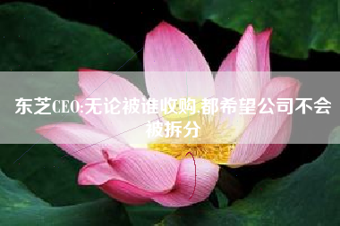 东芝CEO:无论被谁收购,都希望公司不会被拆分