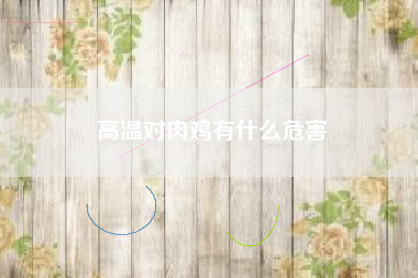 高温对肉鸡有什么危害