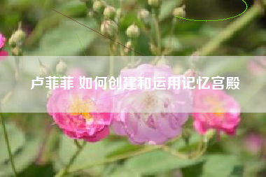 卢菲菲 如何创建和运用记忆宫殿