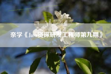 奈学《Java资深研发工程师第九期》