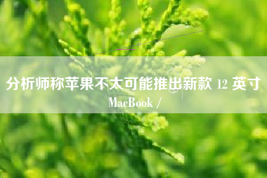 分析师称苹果不太可能推出新款 12 英寸 MacBook /