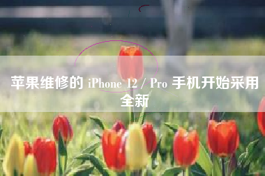 苹果维修的 iPhone 12 / Pro 手机开始采用全新