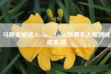 马斯克喊话 Rivian、Lucid:如果不大幅削减成本,将