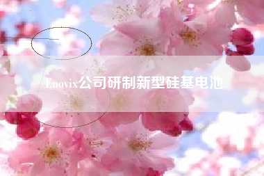 Enovix公司研制新型硅基电池