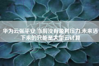 华为云张平安:当前没有盈利压力,未来活下来的只能是大型云计算