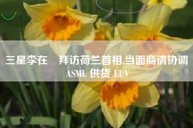 三星李在镕拜访荷兰首相,当面商请协调 ASML 供货 EUV