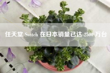 任天堂 Switch 在日本销量已达 2500 万台