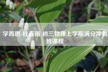 学而思-杜春雨 初三物理上学期满分冲刺班课程