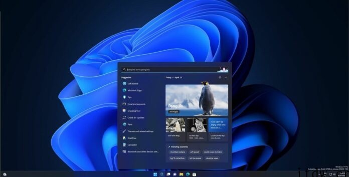 微软 Win11 全面上线“搜索亮点”