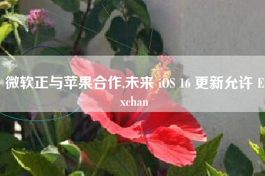 微软正与苹果合作,未来 iOS 16 更新允许 Exchan