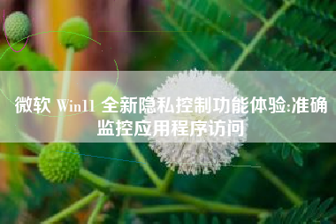 微软 Win11 全新隐私控制功能体验:准确监控应用程序访问