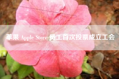 苹果 Apple Store 员工首次投票成立工会