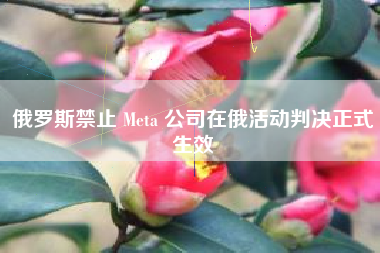 俄罗斯禁止 Meta 公司在俄活动判决正式生效