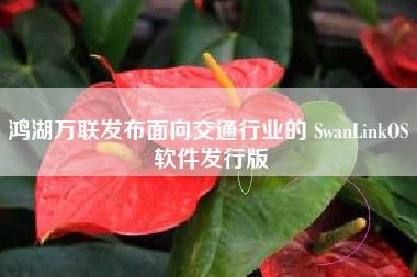 鸿湖万联发布面向交通行业的 SwanLinkOS 软件发行版