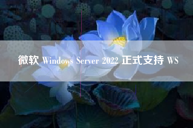 微软 Windows Server 2022 正式支持 WS