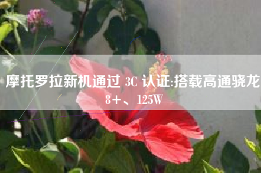 摩托罗拉新机通过 3C 认证:搭载高通骁龙 8+、125W