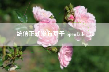 统信正式发布基于 openEuler 22