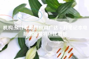 机构:预计苹果供应商广达 6 月笔记本电脑出货量将环比增长