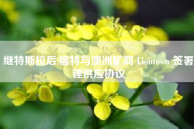 继特斯拉后,福特与澳洲矿商 Liontown 签署锂供应协议