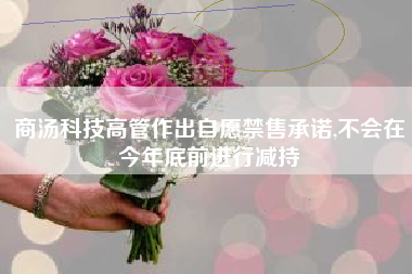 商汤科技高管作出自愿禁售承诺,不会在今年底前进行减持