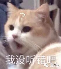 Linus:以防此事搞砸了我又发脾气,先给大家道个歉