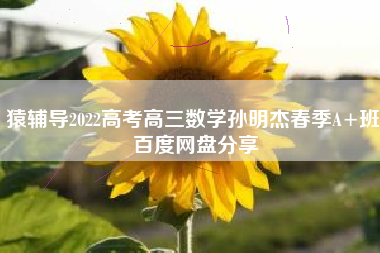 猿辅导2022高考高三数学孙明杰春季A+班 百度网盘分享