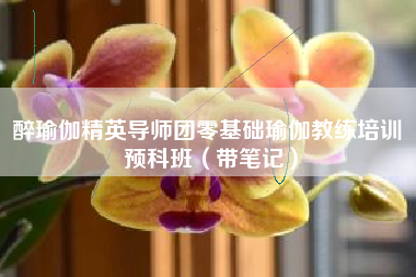 醉瑜伽精英导师团零基础瑜伽教练培训 预科班（带笔记）