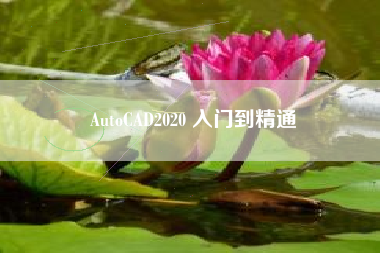 AutoCAD2020 入门到精通