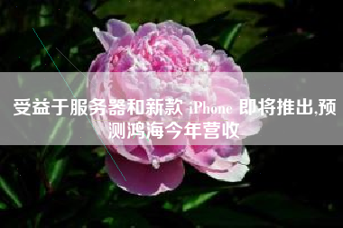 受益于服务器和新款 iPhone 即将推出,预测鸿海今年营收