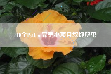 10个Python完整小项目教你爬虫