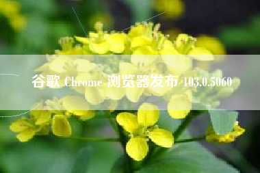 谷歌 Chrome 浏览器发布 103.0.5060