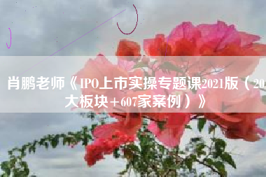 肖鹏老师《IPO上市实操专题课2021版（20大板块+607家案例）》