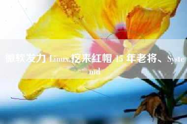 微软发力 Linux,挖来红帽 15 年老将、Systemd