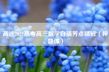 高途2022高考高三数学白瑞芳点睛班（押题课）