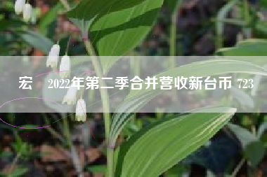 宏碁2022年第二季合并营收新台币 723