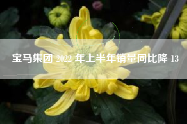 宝马集团 2022 年上半年销量同比降 13