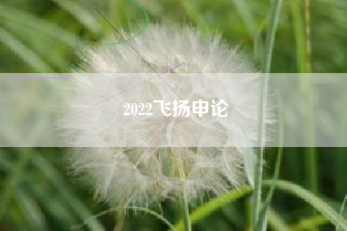 2022飞扬申论